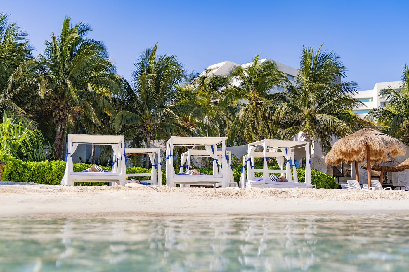 Beach at the hotel Grand Oasis Palm with sunbeds and palm trees.