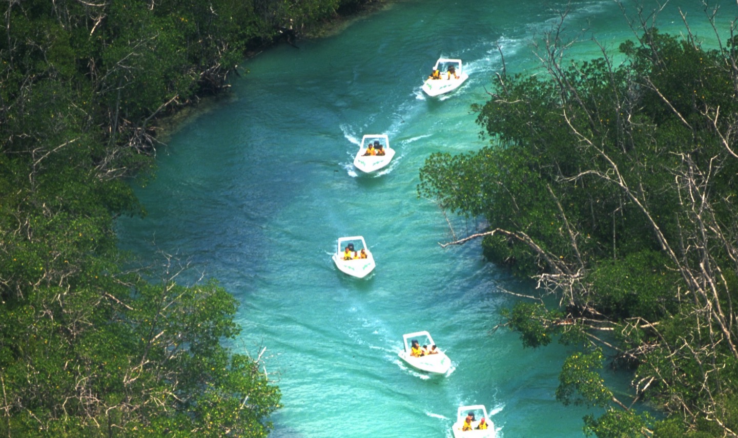 Gastronomic services for corporate events