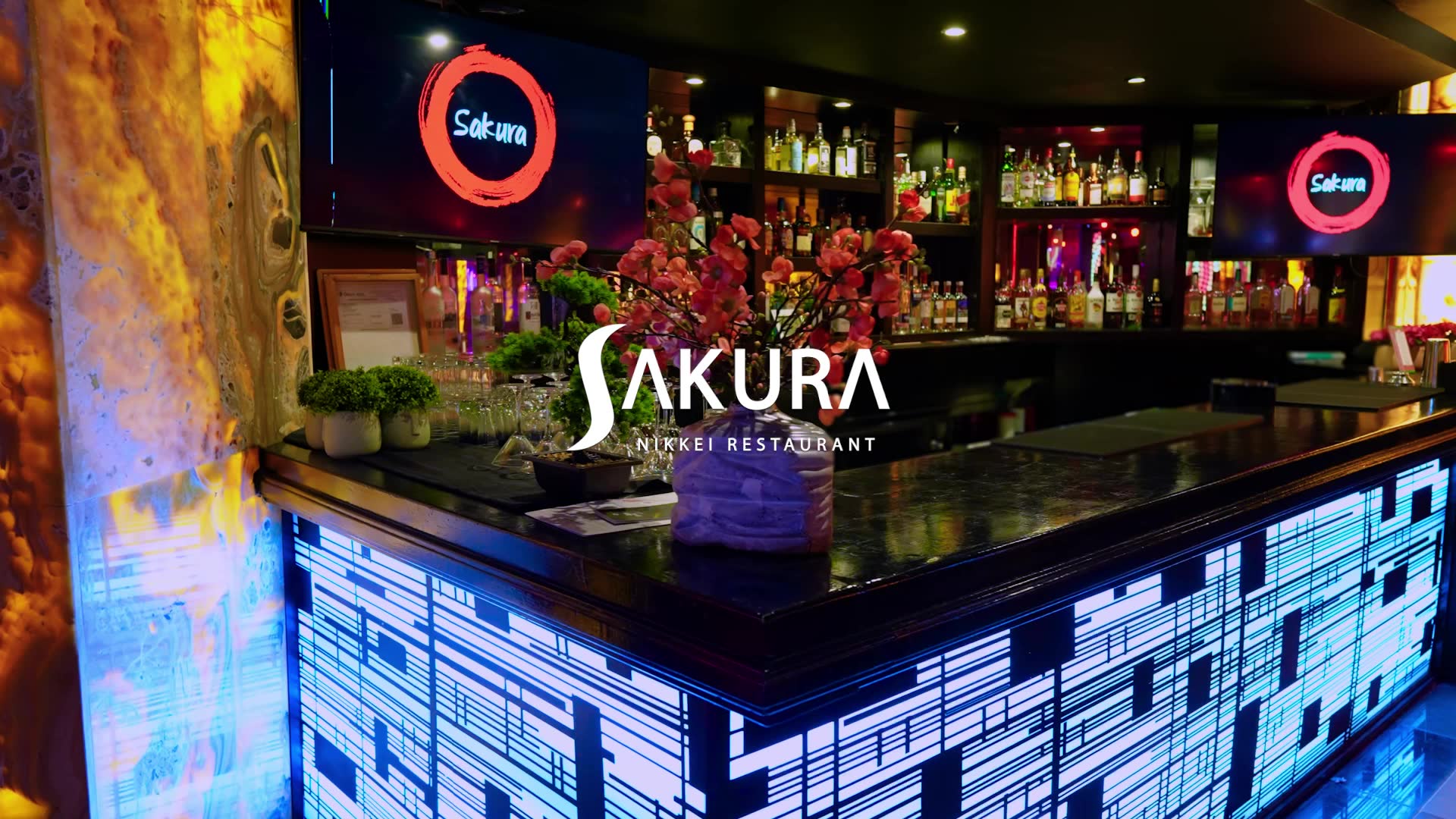 A culinary journey through flavors