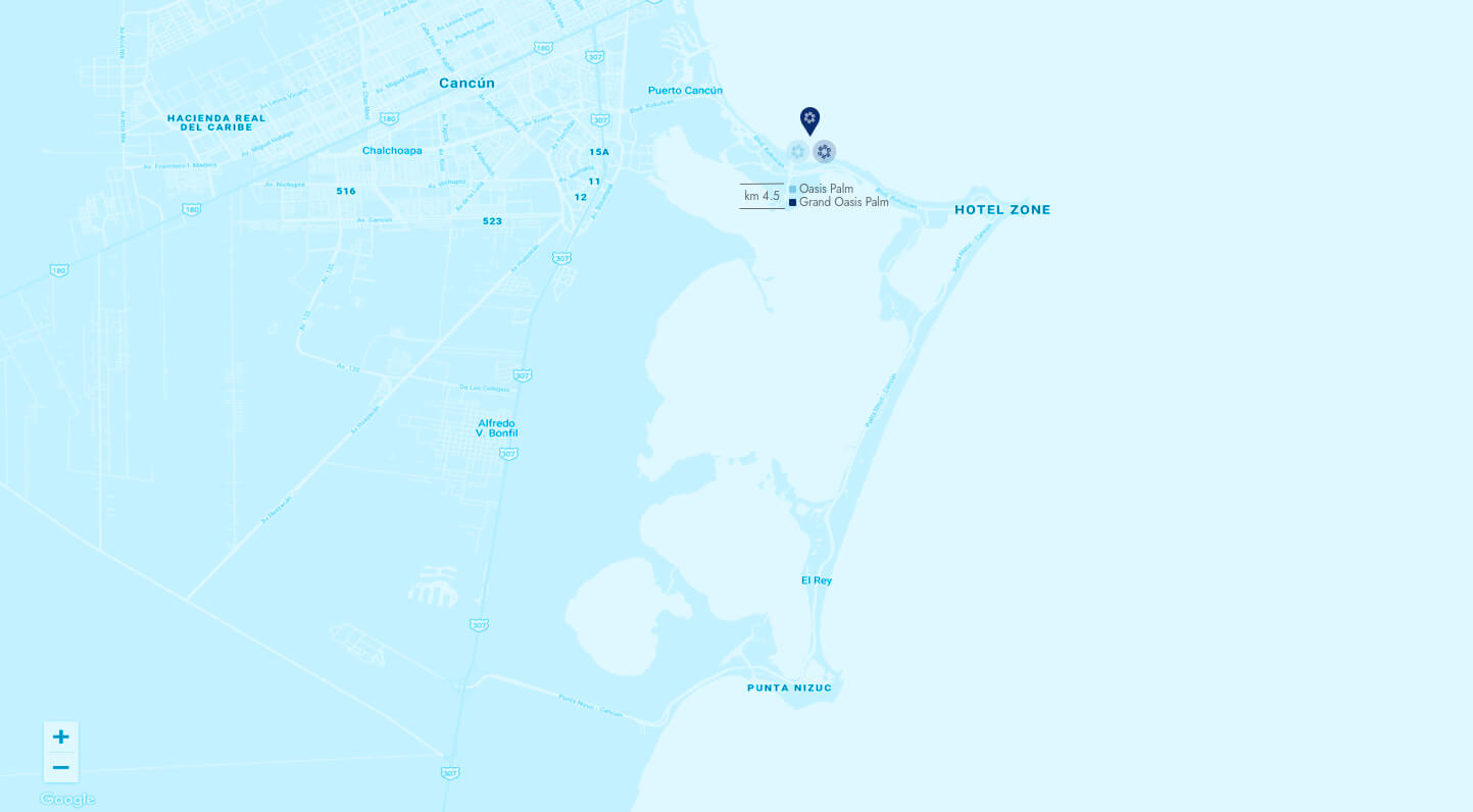 Mapa de ubicación del hotel Oasis Palm