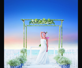 Expertise in destination weddings