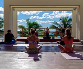 Recovery and comprehensive wellness