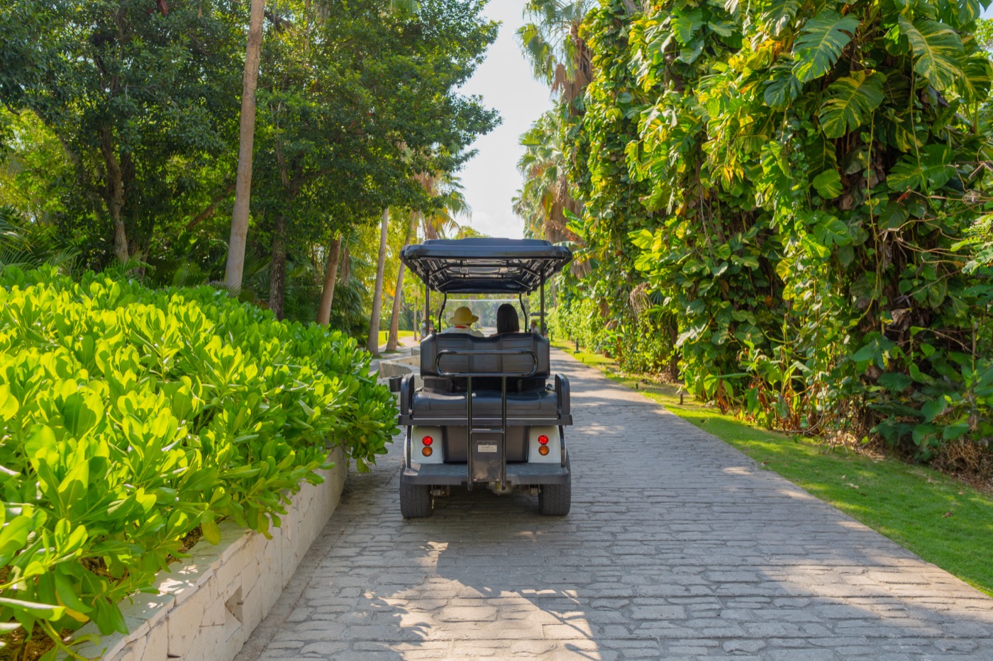 Carro de golf en los jardines do hotel Grand Oasis Tulum Riviera.
